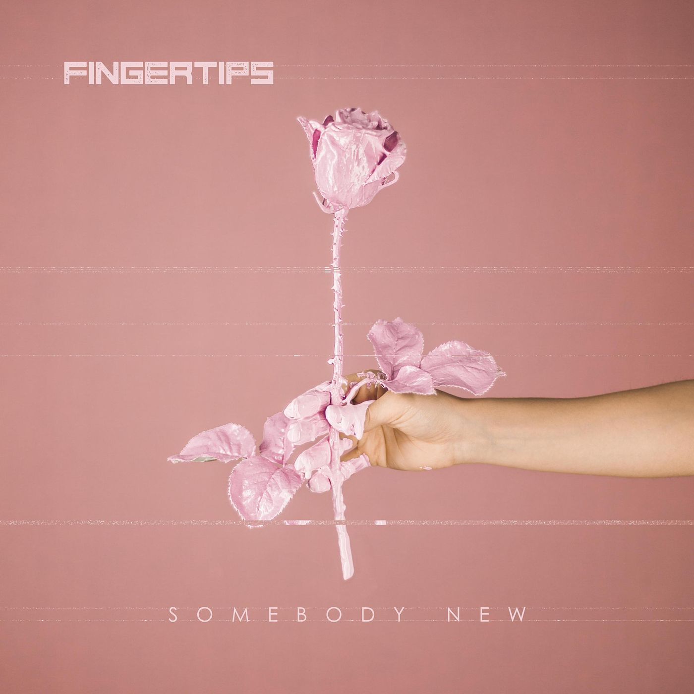 Somebody New — Fingertips